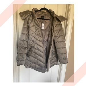 Lane Bryant Winter Jacket